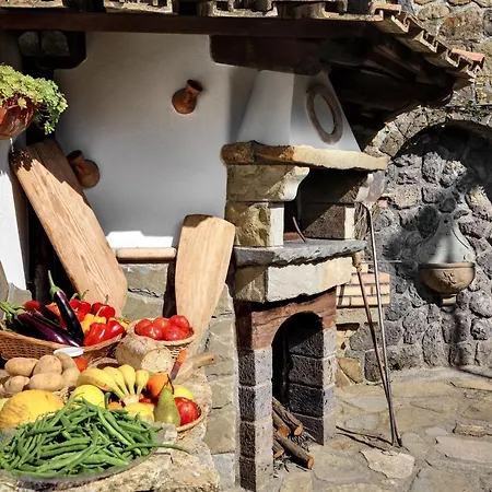 La Dell'olio * Massa Lubrense